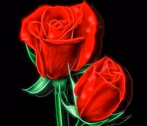 Love Rose Glow_OSG